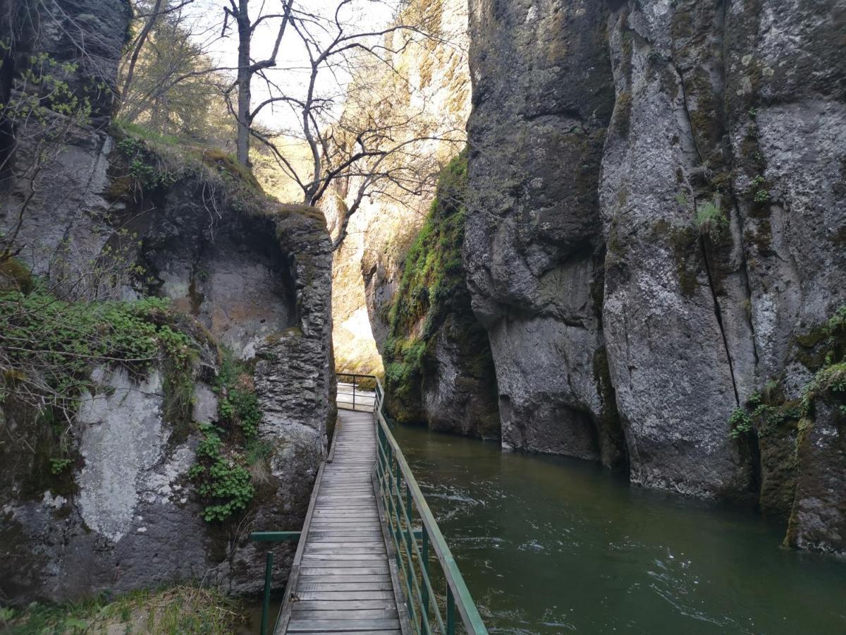 Къща Томови,Стаи За Гости Devin Exterior photo